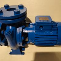 Elettro pompa centrifuga calpeda