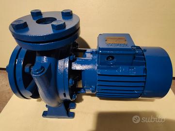 Elettro pompa centrifuga calpeda