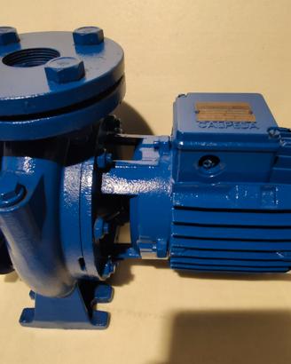 Elettro pompa centrifuga calpeda