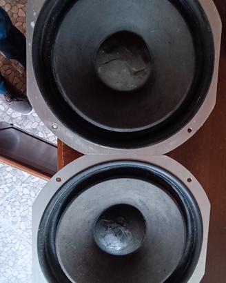 woofer e Twitter Coral