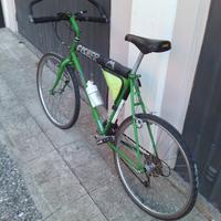 Bicicletta mountain bike