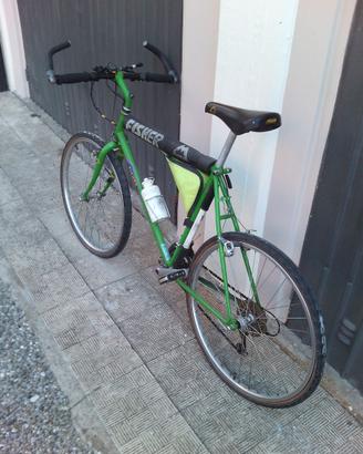 Bicicletta mountain bike