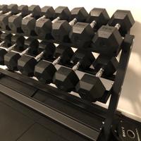 Due coppie di manubri training Lacertosus