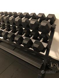 Due coppie di manubri training Lacertosus