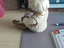 Immagine 2