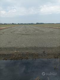 Azienda Agricola