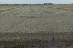 Azienda Agricola