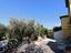 Immagine 25