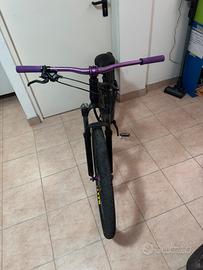 Bici bklf