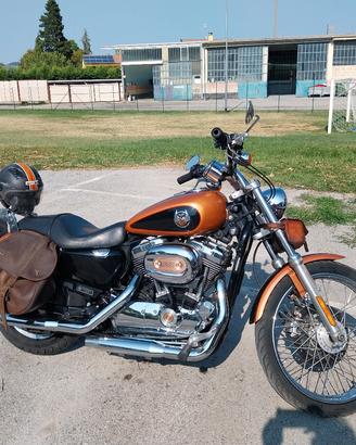 harley davidson 1200 