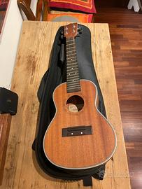 Ukulele con custodia