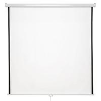 Telo per videoproiettore 110"