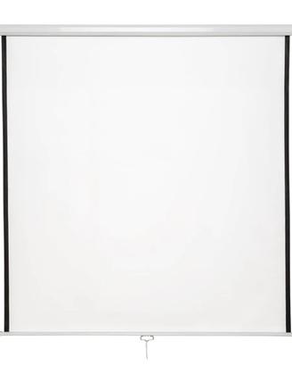 Telo per videoproiettore 110"