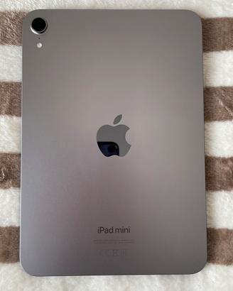 Ipad Mini (7a gen)