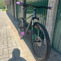 MTB Cube Analog 29