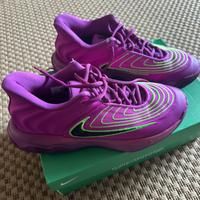 Nike Basket Antetokounmpo