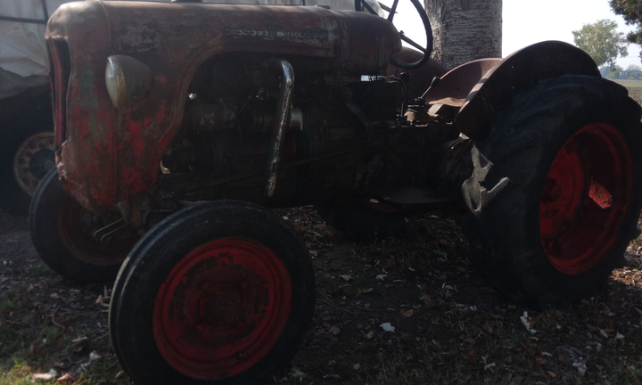 Trattore Lamborghini DL30