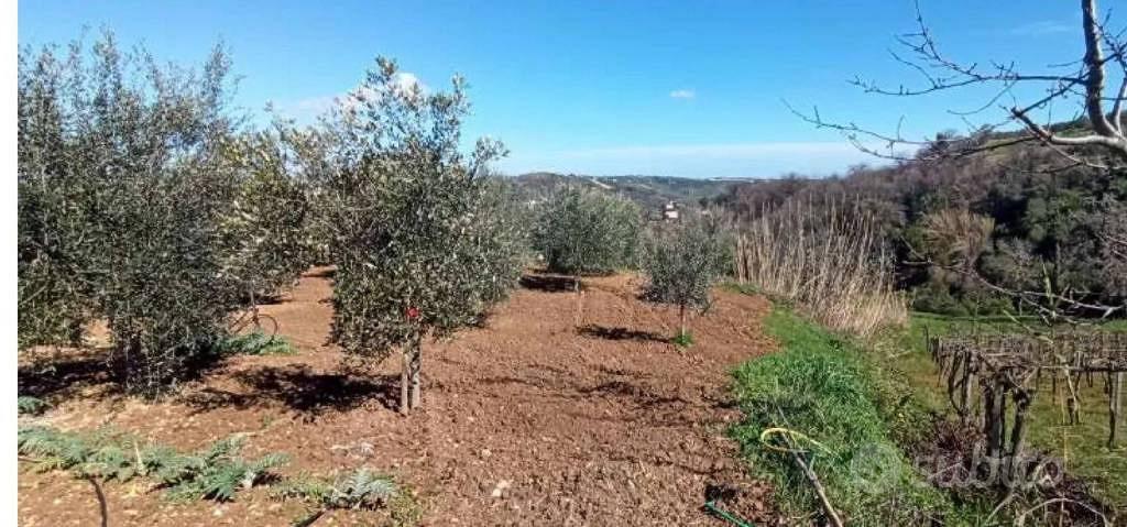 Immobile in asta di 12300 m² a Cortona - Altro