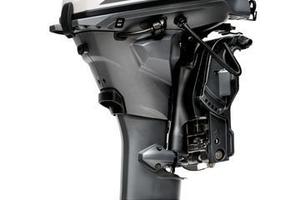 Selva 25cv Lungo avv. ele+trim+manetta 2024