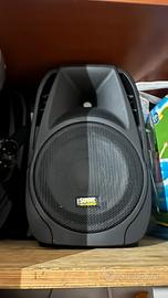 Coppia di Casse amplificate230v 50 hz