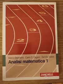 Analisi Matematica 1 (Bramanti, Pagani, Salsa)