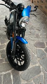 Ducati scrambler 800