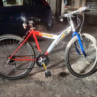 Bicicletta con marce usata 