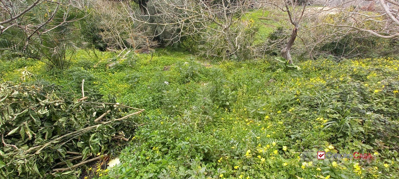 Locanda, terreno con ruderi e deposito - Vista 5