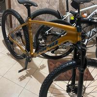 MTB 29 carbonio 