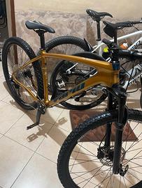 MTB 29 carbonio 