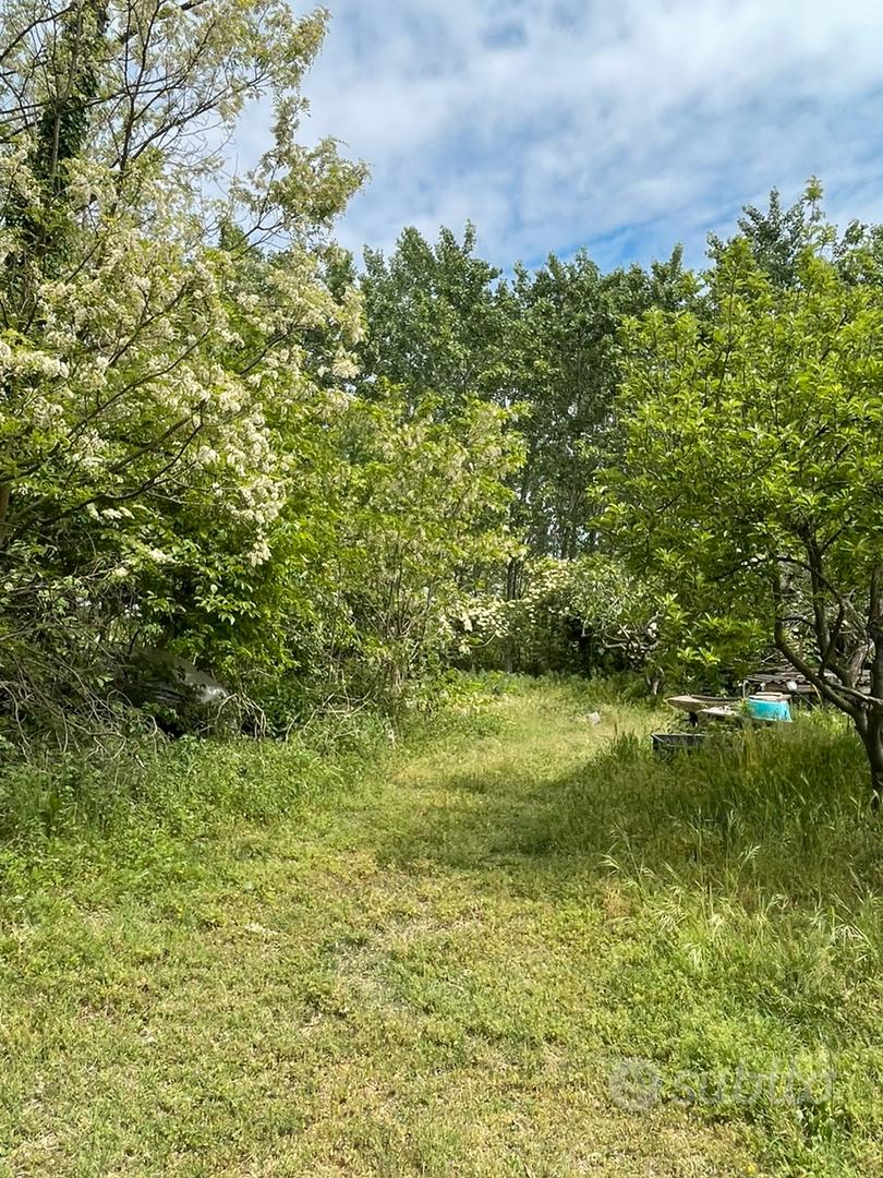 Terreno non edificabile nel parco del Ticino - Vista 2