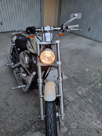 Harley devidson 1200 sportster custom