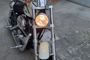 Harley devidson 1200 sportster custom