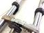 Immagine 10