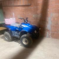 Quad polaris trailbos 325