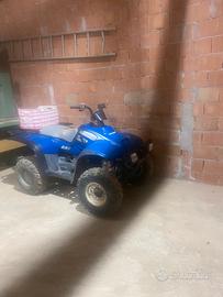 Quad polaris trailbos 325