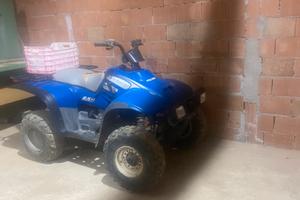 Quad polaris trailbos 325
