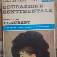 EDUCAZIONE SENTIMENTALE