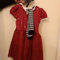 Vestito di carnevale