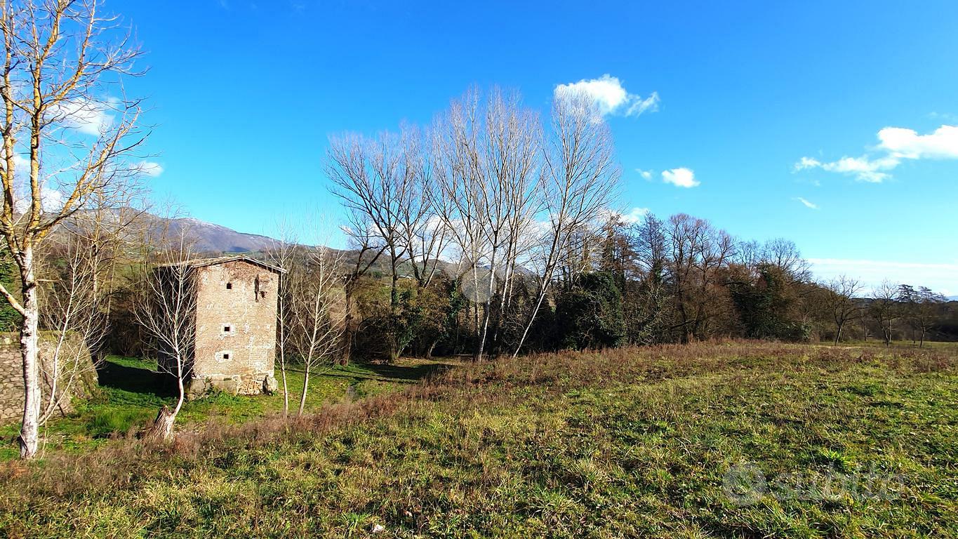 Terreno agricolo con casale a paliano - Vista 4