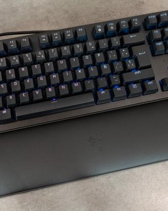 Razer v2