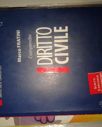 Compendio DIRITTO CIVILE nel diritto