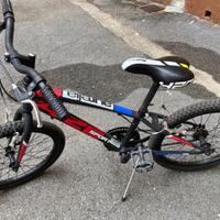 Bicicletta