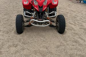 Polaris predator 500