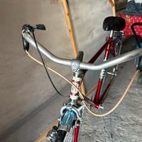 Bici gerbi sport