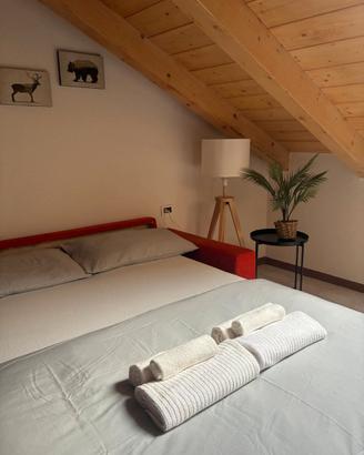 VAL DI SOLE Apartment IL PINO CEMBRO
