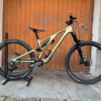 Specialized Stumpjumper evo expert carbon tg M(s3)