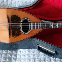 Mandolino napoletano fine 800