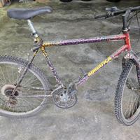 bicicletta funzionante