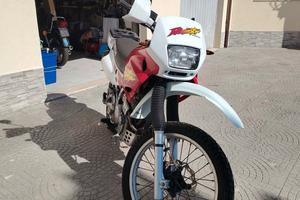  Honda Dominator NX 650 del 97 